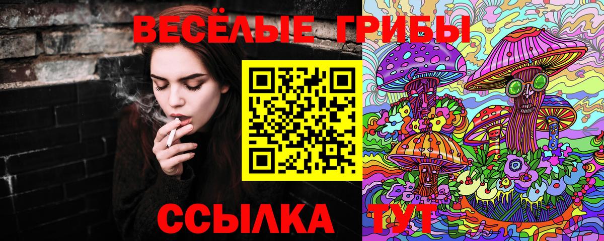 Галлюциногенные грибы прущие грибы Елабуга