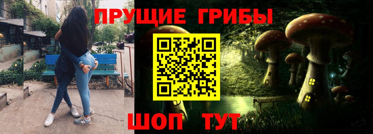 Елабуга  как найти закладки  Псилоцибиновые грибы Psilocybe  Вход с VPN  Псилоцибиновые грибы GOLDEN TEACHER 