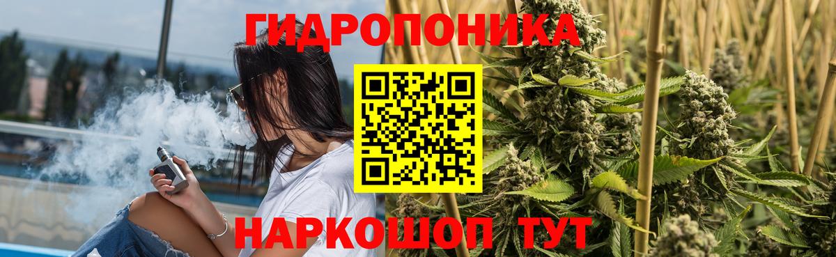 Марихуана планчик  МАРИХУАНА LSD WEED  Конопля семена  Елабуга  МАРИХУАНА Amnesia  Вход с VPN 